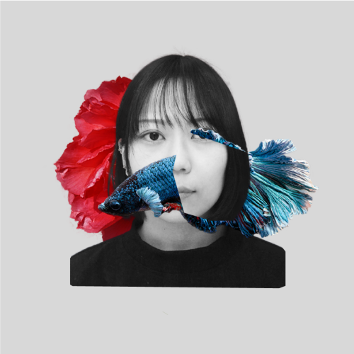 Satsuki Hashiba